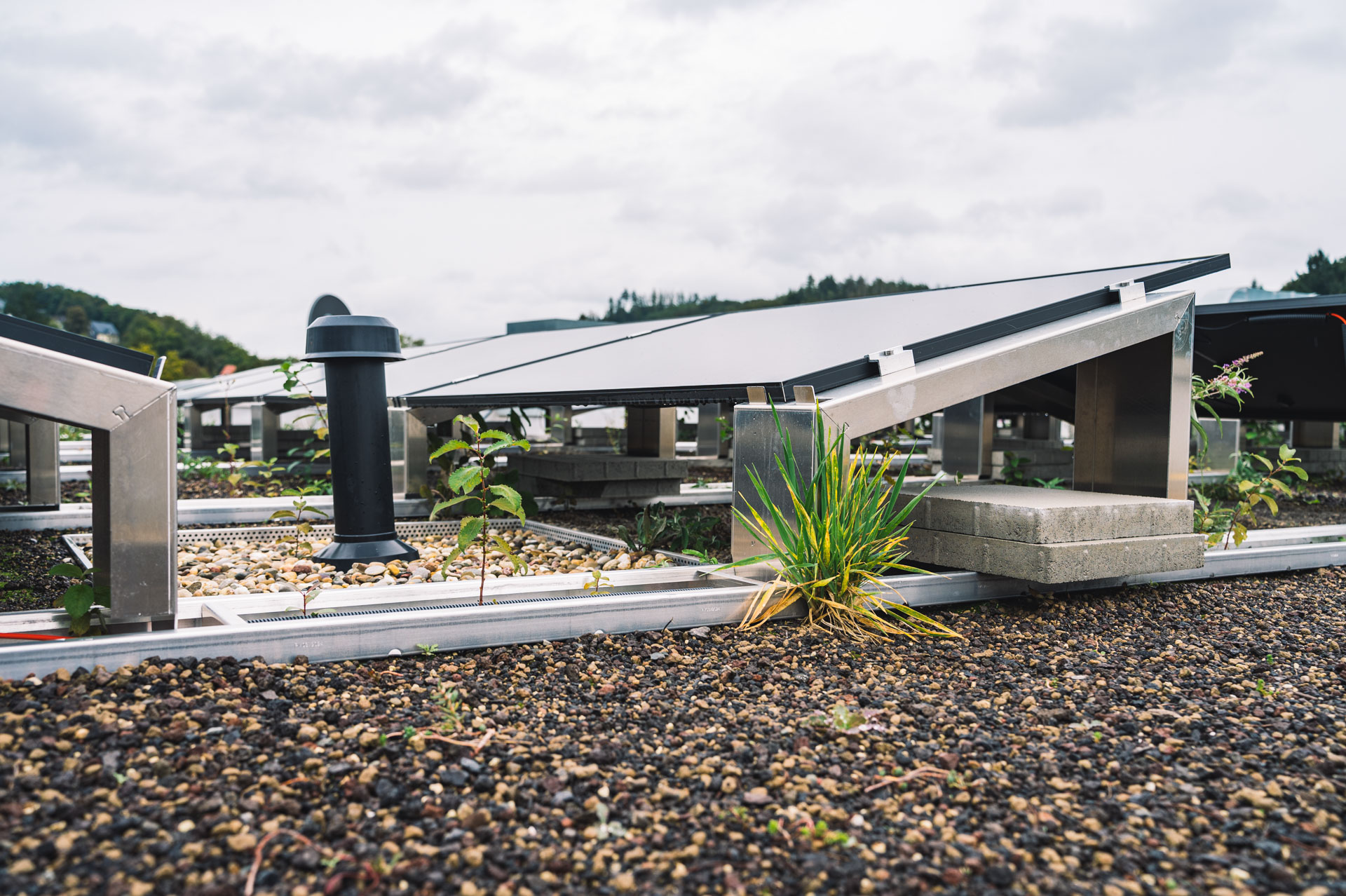 Photovoltaikanlage auf einem extensiv begrünten Flachdach mit Kiesbettung, Jungpflanzen und metallischer Unterkonstruktion; Teil des nachhaltigen Dachkonzepts des Pflegewohnstifts Gummersbach.