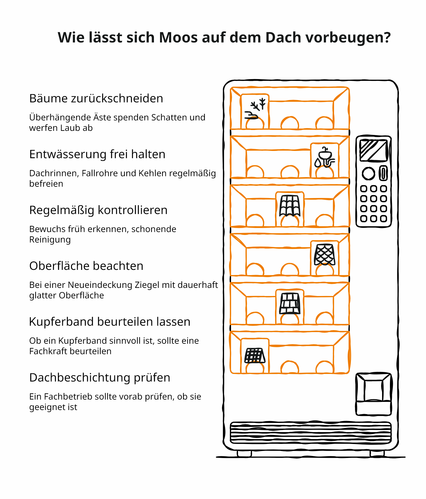 Schaubild der verschiedenen Schritte, um Moos am Dach vorzubeugen.